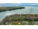 An aerial view of the neighborhood and lake. The homes are set amongst mature trees at 30713 George Dr, Tavares, FL 32778