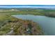 An aerial view of the neighborhood and lake. The homes are set amongst mature trees at 30713 George Dr, Tavares, FL 32778