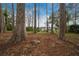 Backyard with tall trees leading to a wooden dock and waterfront view on a sunny day at 30713 George Dr, Tavares, FL 32778