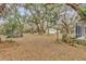 Expansive backyard with mature trees, featuring a shed and detached garage at 39104 Meyers Rd, Lady Lake, FL 32159