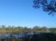 Scenic view of the lake with lush trees and a clear blue sky, offering a peaceful retreat at 43648 S Island Dr, Paisley, FL 32767