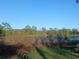 Beautiful water view overlooking the tranquil lake surrounded by mature trees at 43648 S Island Dr, Paisley, FL 32767