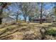 Expansive backyard featuring mature trees, a screened-in porch, and a shed at 6213 Highland Ave, Leesburg, FL 34748