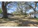 Large backyard with mature trees and space for outdoor activities at 6213 Highland Ave, Leesburg, FL 34748