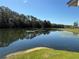 Scenic lake view with lily pads, surrounded by lush trees and greenery at 1127 Belmont Cir, Tavares, FL 32778