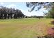 Lush green golf course view featuring mature trees and blue skies at 17274 Se 85Th Willowick Cir, The Villages, FL 32162