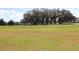 Wide view of lush green golf course with mature trees lining the fairway and blue sky at 17274 Se 85Th Willowick Cir, The Villages, FL 32162