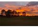 Beautiful sunset over the golf course with trees silhouetted against the vibrant orange and purple clouds at 1755 Lakewood Dr, The Villages, FL 32162