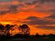 Stunning sunset view over the golf course, showing the silhouettes of trees against a vivid orange sky at 1755 Lakewood Dr, The Villages, FL 32162