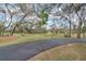 Large grassy backyard with mature trees and long driveway at 17561 Seidner Rd, Winter Garden, FL 34787