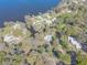 Aerial view of waterfront community with mature trees along a serene lake at 2439 Cr 453, Lake Panasoffkee, FL 33538