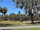 Picturesque golf course featuring players enjoying the lush green scenery and golf carts at 25124 Twelve Oaks Rd, Leesburg, FL 34748