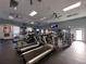 Well-equipped gym featuring treadmills, exercise equipment, and mirrored walls for a full workout at 25124 Twelve Oaks Rd, Leesburg, FL 34748