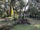 Exterior of a weathered white house surrounded by dense trees and underbrush at 100 Palm St, Fruitland Park, FL 34731