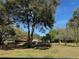 Expansive backyard featuring mature trees, lush landscaping, and a well-maintained lawn at 1009 Linda Glen Ave, Fruitland Park, FL 34731