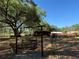 Serene backyard with a wooden swing set and lush greenery in a tranquil setting at 1009 Linda Glen Ave, Fruitland Park, FL 34731