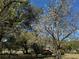 Scenic view of the property featuring mature trees, a blue sky, and manicured landscaping at 1009 Linda Glen Ave, Fruitland Park, FL 34731