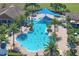 Aerial view of a large community pool features many palm trees, a blue sunshade, and several lounge chairs at 112 Flame Vine Way, Groveland, FL 34736