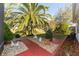 Well-maintained backyard with a decorative walkway and a large palm tree at 13142 Se 93Rd Terrace Rd, Summerfield, FL 34491