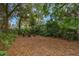 Secluded backyard featuring a leafy ground cover, mature trees, and a sitting area at 1840 12Th St, Clermont, FL 34711