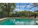 Sparkling in-ground pool with a screened enclosure and serene views of the surrounding foliage at 1840 12Th St, Clermont, FL 34711