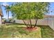 Backyard showcasing lush green grass, mature trees, and tidy landscaping at 1923 Greeleyville Ter, The Villages, FL 32162
