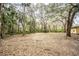 Beautiful lot with mature trees at 2930 Cr 416N, Lake Panasoffkee, FL 33538