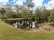 The property has a tranquil pond with mature trees reflected in the dark waters at 2930 Cr 416N, Lake Panasoffkee, FL 33538