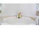 Close up of garden tub featuring gold fixtures at 54 Camino Real Blvd # 504, Howey In The Hills, FL 34737