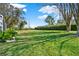 Well-maintained lawn featuring healthy green grass and lush privacy hedging along the rear boundary at 995 Hidden Blf, Clermont, FL 34711
