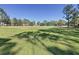 Expansive green lawn with soccer goals for outdoor games and activities, surrounded by trees at 12919 Freeman St, Windermere, FL 34786