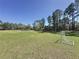 Expansive green lawn with soccer goals for outdoor games and activities, surrounded by trees at 12919 Freeman St, Windermere, FL 34786