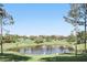 Scenic pond view with lush green surroundings and mature trees offers a tranquil setting at 15912 Lake Orienta Ct, Clermont, FL 34711