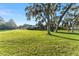 A beautiful backyard view featuring mature trees and a sprawling lawn at 16011 Acorn Cir, Tavares, FL 32778