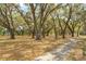 Scenic park with mature trees, a walking path and a peaceful setting at 26315 Newcombe Cir, Leesburg, FL 34748