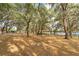 Beautiful community park with mature trees, covered picnic area, and waterfront access at 26315 Newcombe Cir, Leesburg, FL 34748