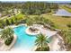 Gorgeous aerial view of the community pool with covered seating, umbrellas, and palm trees near a serene lake at 3449 Meadow Beauty Way, Clermont, FL 34714