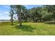 Expansive backyard with lush green grass and mature trees, offering serene views at 10944 Autumn Ln, Clermont, FL 34711