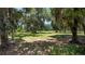 Large backyard with mature trees, offering privacy and a peaceful setting at 10944 Autumn Ln, Clermont, FL 34711