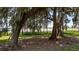 Scenic backyard view with moss-draped trees and a tranquil atmosphere at 10944 Autumn Ln, Clermont, FL 34711