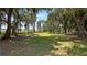 Beautiful grassy lot surrounded by shady trees, creating a park-like setting at 10944 Autumn Ln, Clermont, FL 34711