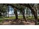 Scenic lake view framed by moss-draped trees, offering a tranquil and picturesque waterfront setting at 10944 Autumn Ln, Clermont, FL 34711