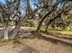 Majestic oak trees draped with moss line a path in this yard at 10944 Autumn Ln, Clermont, FL 34711