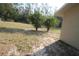 Backyard featuring two citrus trees, green grass and a partial view of the house siding at 11740 E Highway 25, Ocklawaha, FL 32179