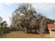 Expansive backyard with mature trees offering ample shade and natural beauty, great for outdoor activities at 11740 E Highway 25, Ocklawaha, FL 32179