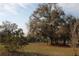 Large backyard featuring green grass, mature trees and Spanish moss at 11740 E Highway 25, Ocklawaha, FL 32179