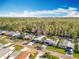 Overhead view of the neighborhood highlighting well-maintained lawns, mature trees, and charming homes at 3221 Myakka River Rd, Tavares, FL 32778