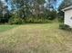 Picture of the large backyard, perfect for outdoor activities at 390 Colonade Ct, Kissimmee, FL 34758