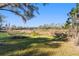 Backyard view features mature trees, lush green grass, and access to a pond at 39615 Forest Dr, Eustis, FL 32736