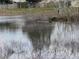 Beautiful pond view featuring calm waters reflecting trees, bushes, and wildlife at 25517 Laurel Valley Rd, Leesburg, FL 34748